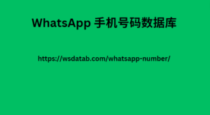 WhatsApp 手机号码数据库