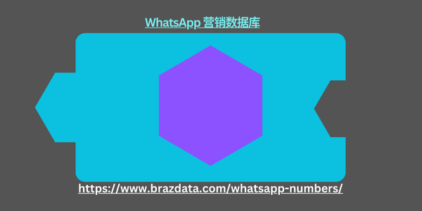 WhatsApp 营销数据库