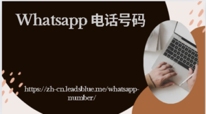 Whatsapp 电话号码